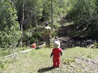 55-further_up_the_same_stream_by_our_campsite