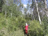61-Kenny_making_his_way_through_the_woods