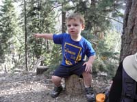 37-back_to_the_same_stump-telling_Daddy_he_ran_up_the_trail