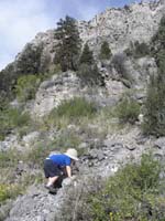 46-this_is_actually_a_trail_and_is_not_as_bad_as_it_looks