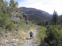 55-Kenny_and_the_pretty_forested_area-hiking_back