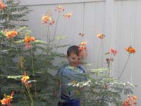 66-Kenny_was_hiding_behind_the_Bird_of_Paradise
