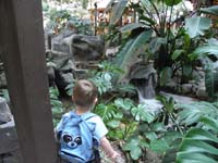 06-Kenny_watches_the_water_in_the_atrium_area