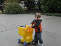 48-pushing_the_shopping_cart_on_the_driveway