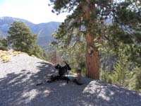 04-Daddy_carried_Kenny_2_miles_up_800_feet_elevation_in_one_hour