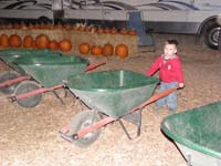 27-Mommy_let's_use_this_wheelbarrow_to_carry_that_heavy_pumpkin-we_didn't_purchase_it