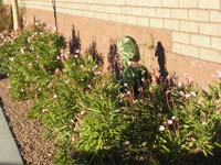 10-is_that_a_dinosaur_in_the_bushes
