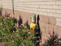 11-it_is-it_is_the_elusive_Kenosaur