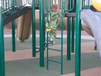 29-climbs_a_ladder_like_a_pro