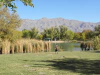 28-Kenny_and_Tule_Springs_with_mountain_view
