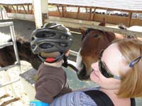 34-horsey_coming_in_for_a_kiss
