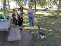 42-Sloane_and_Marianne_get_in_on_the_feeding