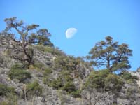 17-setting_moon_and_scenery