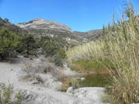 18-La_Madre_Springs