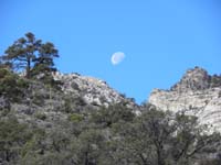 19-setting_moon_and_scenery