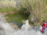 22-Kenny_throwing_rocks_in_La_Madre_Spring