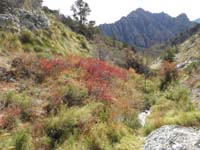 27-a_little_bit_of_Fall_colors-White_Rock_Hills_Peak_in_background