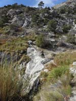 46-Mommy_standing_on_top_of_a_waterfall