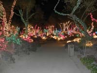 15-colorful_lights_at_the_cactus_garden