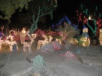 18-colorful_lights_at_the_cactus_garden