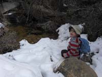 23-Kenny_hikes_30_minutes_and_over_a_third_of_a_mile_by_himself_only_holding_Daddy's_hand