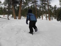 46-trekking_up_the_hill-some_day_you'll_probably_do_this_with_crampons