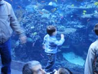 36-Kenny_watching_the_tropical_fish_tank