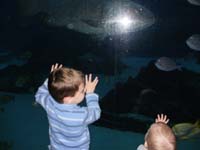 39-checking_out_the_fish