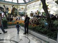 08-Bellagio_Conservatory