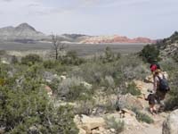 50-on_our_way_back_to_the_car-Turtlehead_and_Calico_Hills_in_the_distance