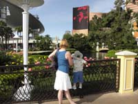 37-Kenny_climbed_the_fence_to_get_a_good_look_at_the_roses