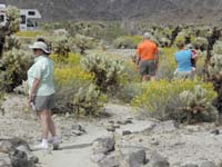 024-finishing_the_walk_through_the_chollas