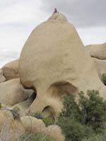 027-Daddy_climbed_on_top_of_Skull_Rock