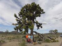 030-Grandpa_Duke-Grammy-Kenny-Mommy_in_front_of_a_large_Joshua_Tree