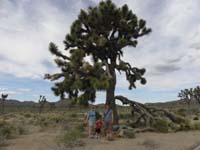031-Daddy-Kenny-Mommy_in_front_of_a_large_Joshua_Tree