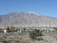 061-Palm_Springs_Valley-Mt_San_Jacinto-lots_of_windmills