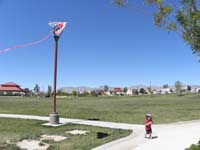 47-Kenny's_a_good_kite_flyer-not_hard_at_all_with_a_good_wind