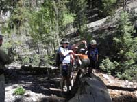 04-a_little_time_on_the_log_raises_little_boys_spirts