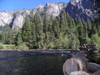 133-Merced_River_view_with_log-El_Portal_View
