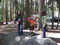 137-Kenny_Toby_and_Sierra_having_fun_on_a_rock