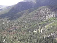 25-view_of_the_Cathedral_Rock_picnic_area_fire_over_the_July_4th_weekend-hard_to_spot_the_20_acre_burned_area