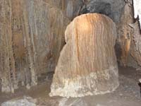 23-cave_oddity-shield_grew_from_ground_up-normally_grows_from_top_down