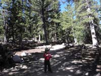 44-Kenny_on_the_trail_hiking_through_the_forest_at_10,000_feet