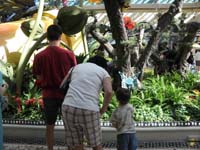 01-Kenny_at_Bellagio_Conservatory_with_Uncle_Jeff_and_Aunt_Cristy