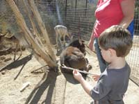 25-Kenny_up_close_to_burro_and_deer