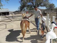 30-Kenny_meet_Peanut-time_for_a_pony_ride