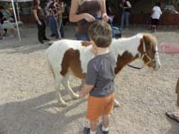 05-petting_a_miniature_horse