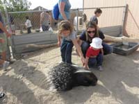 16-some_kids_pet_the_porcupine_but_Kenny_wouldn't_go_near_it