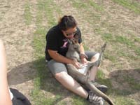 32-she_tries_to_show_us_her_pouch_but_the_kangaroo_wasn't_interested