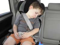 44-Kenny_fast_asleep_on_the_way_home_with_two_stuffed_hedgehogs_named_Dug_and_Dug